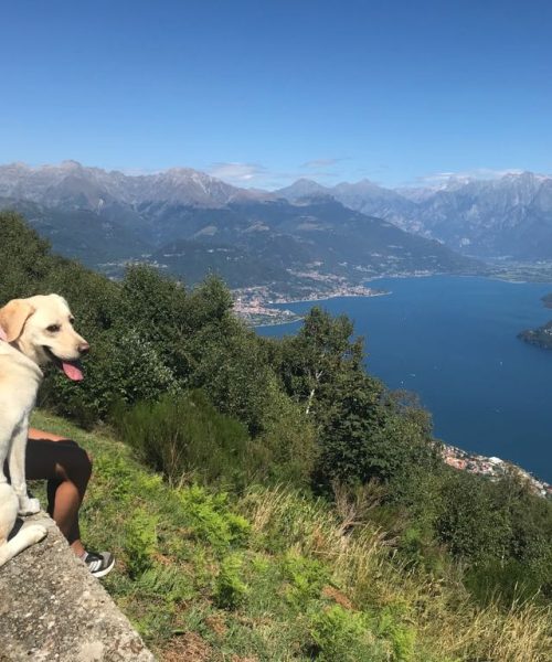 PHOTO-2018-08-27-21-31-36