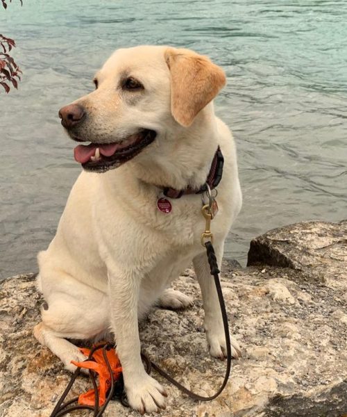 PHOTO-2019-06-16-11-22-09