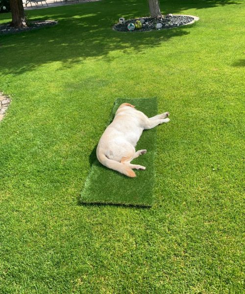 PHOTO-2021-07-10-11-17-44