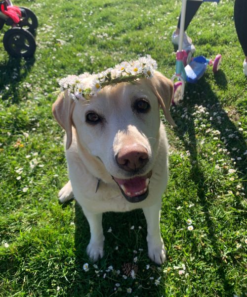 PHOTO-2022-04-17-19-54-06