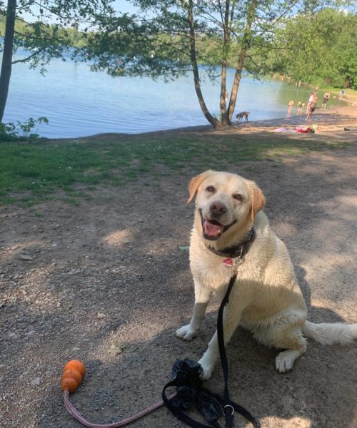 PHOTO-2022-05-11-17-06-02