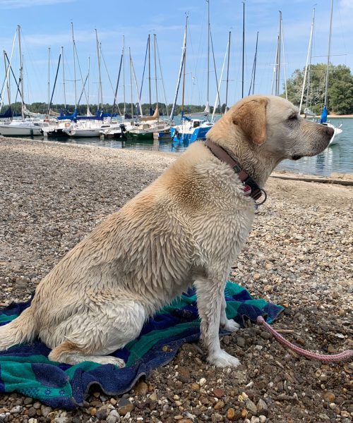 PHOTO-2022-07-31-11-30-57