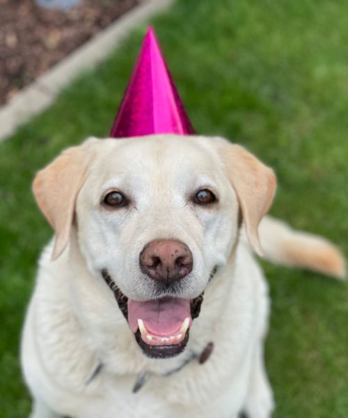 PHOTO-2022-08-14-20-19-26