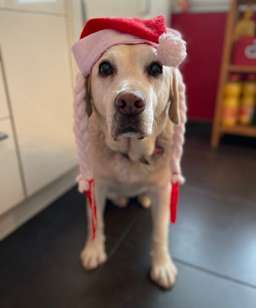 PHOTO-2022-12-25-04-10-34