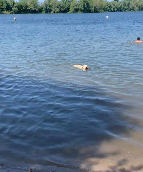 PHOTO-2023-05-28-15-16-41