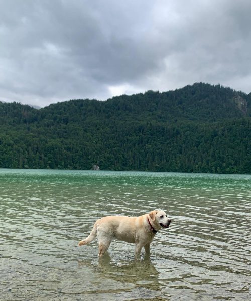 PHOTO-2023-07-03-11-00-14