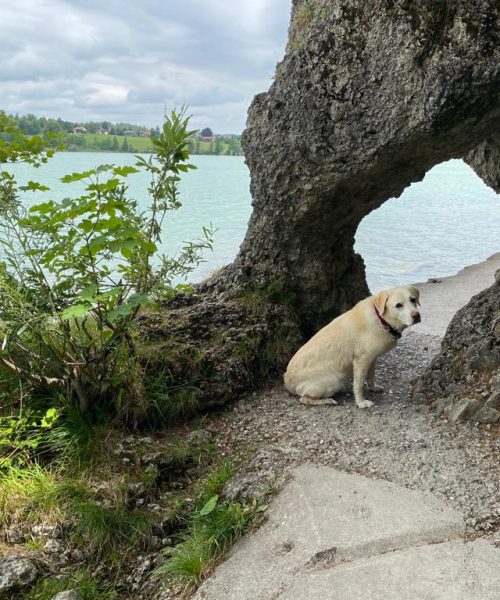 PHOTO-2023-07-03-13-35-08