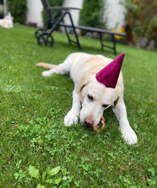 PHOTO-2023-08-14-16-49-20