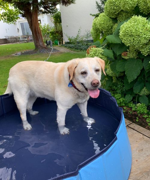 PHOTO-2023-08-14-19-48-51