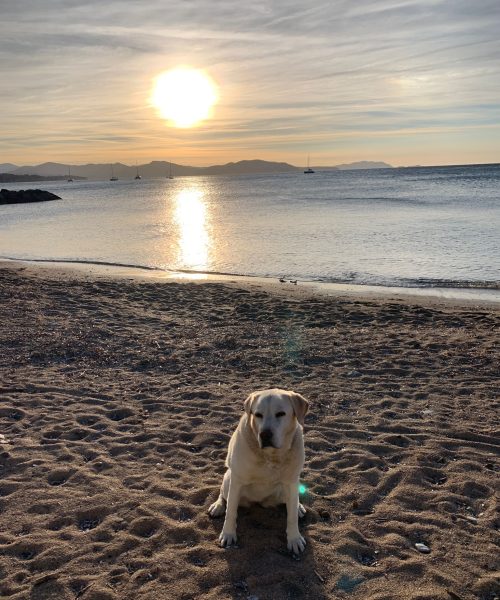 PHOTO-2023-10-15-08-38-18