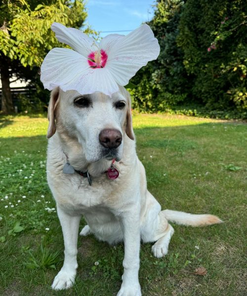 PHOTO-2024-09-04-17-52-31 (1)